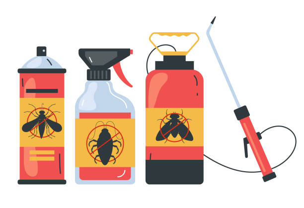 Wasp Removal Services in Grandview, MO